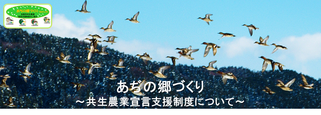 あぢの郷づくり共生農業宣言支援制度について たくさんの鳥が空を飛んでいる写真