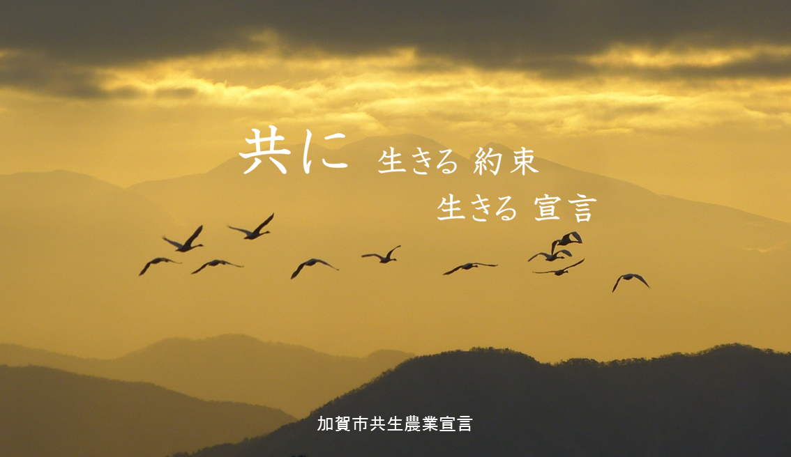 共に生きる約束生きる宣言 加賀市共生農業宣言の文字とカモの群れが大空を飛んでいる写真
