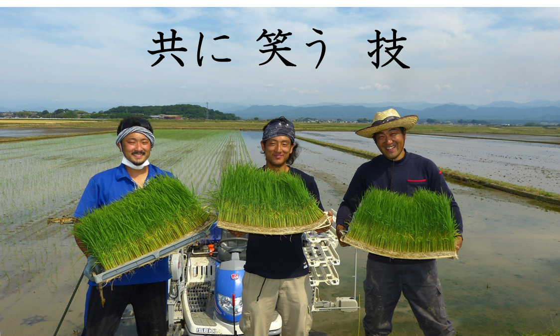 共に笑う技の文字と田んぼで苗を両手で持っている男性3人の写真