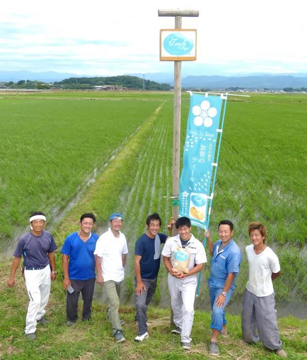 田んぼの前に並んでいる7名のかが有機農法研究会の皆さんの写真