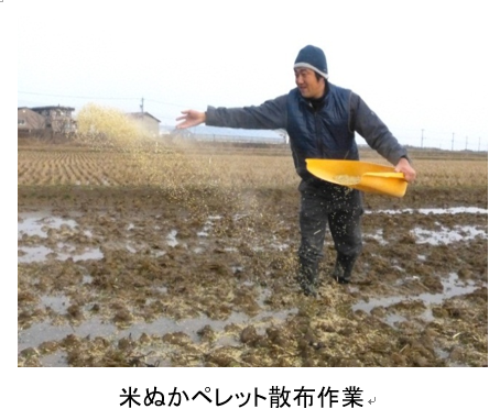 地域の家庭や学校給食由来の発酵堆肥の散布作業をしている男性2名の写真