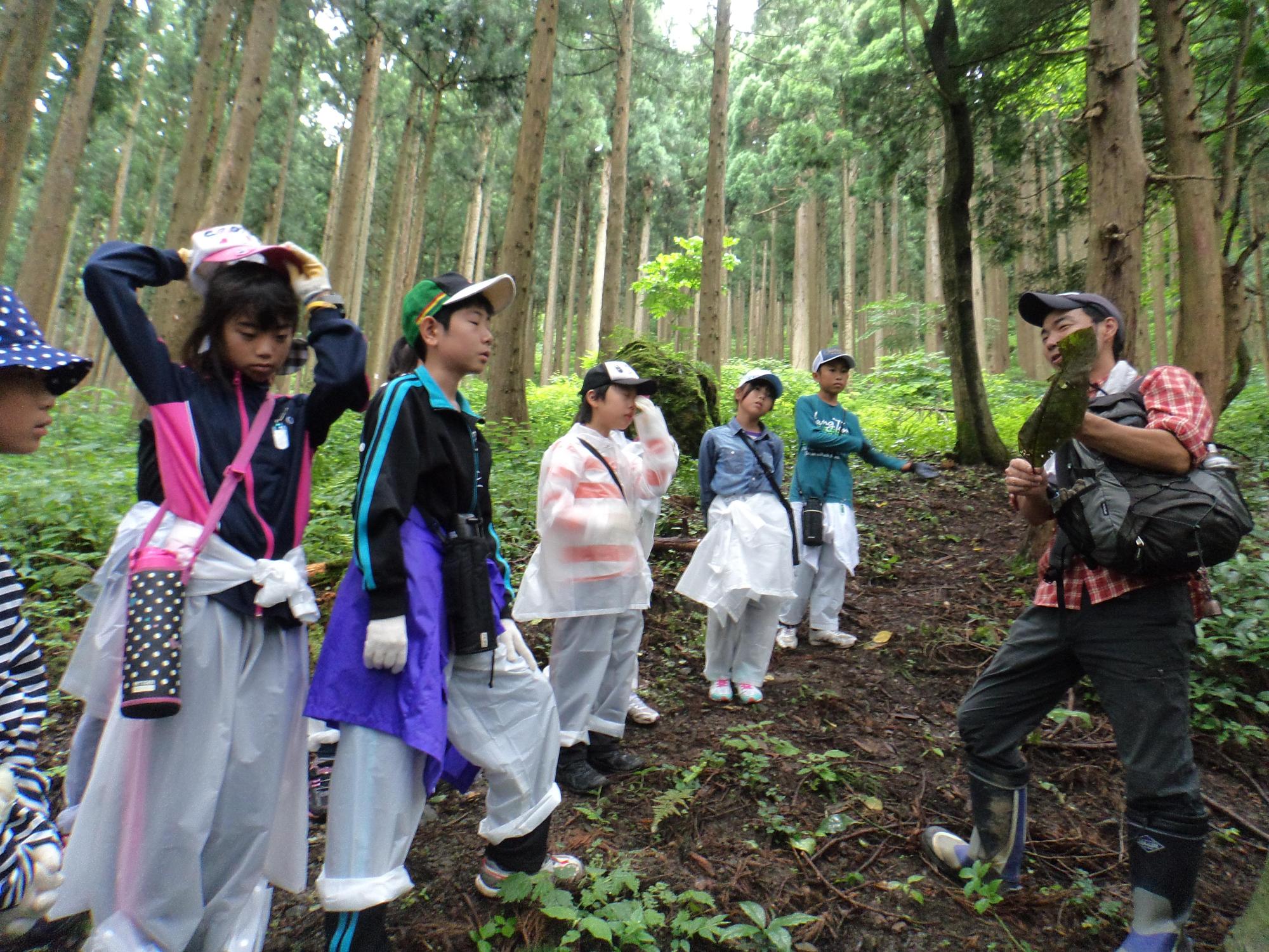 森の中で大きな葉っぱを持ち子供たちに話をしている増本さんの写真