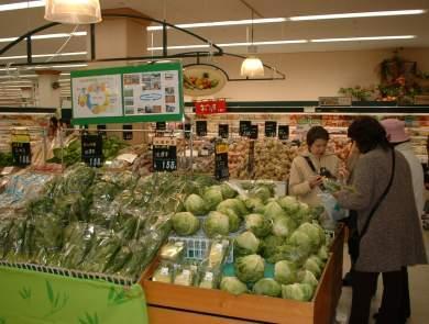女性3人が青果売り場に陳列された野菜を手に取って見ている写真