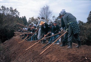 黒崎土ねり節の写真