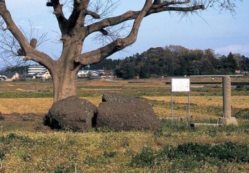 宮地廃寺跡塔心礎の写真