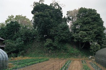 冨塚丸山古墳の写真